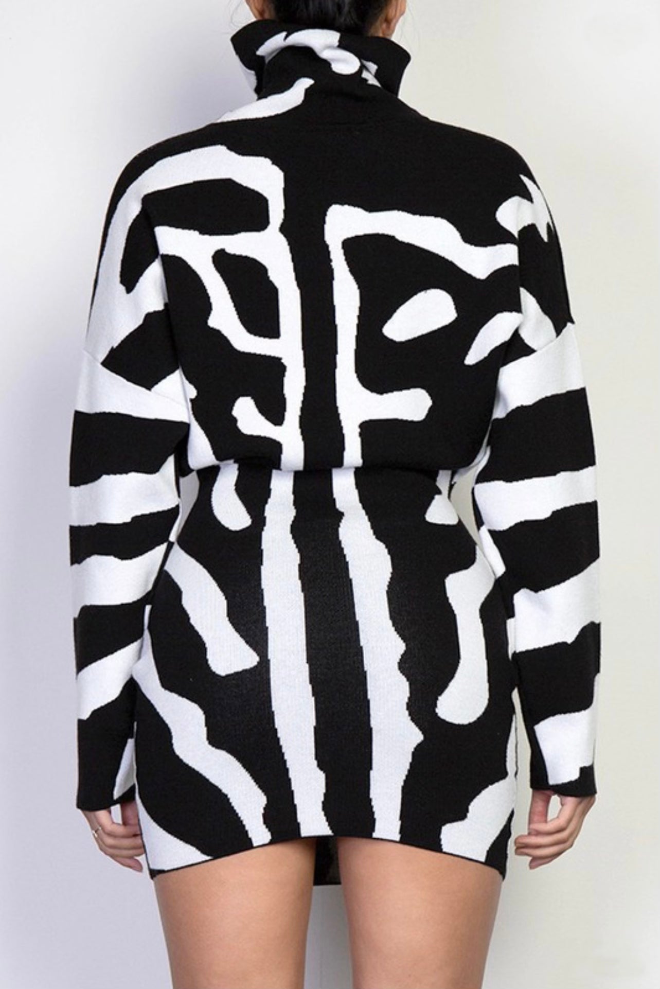 Zebra Dress