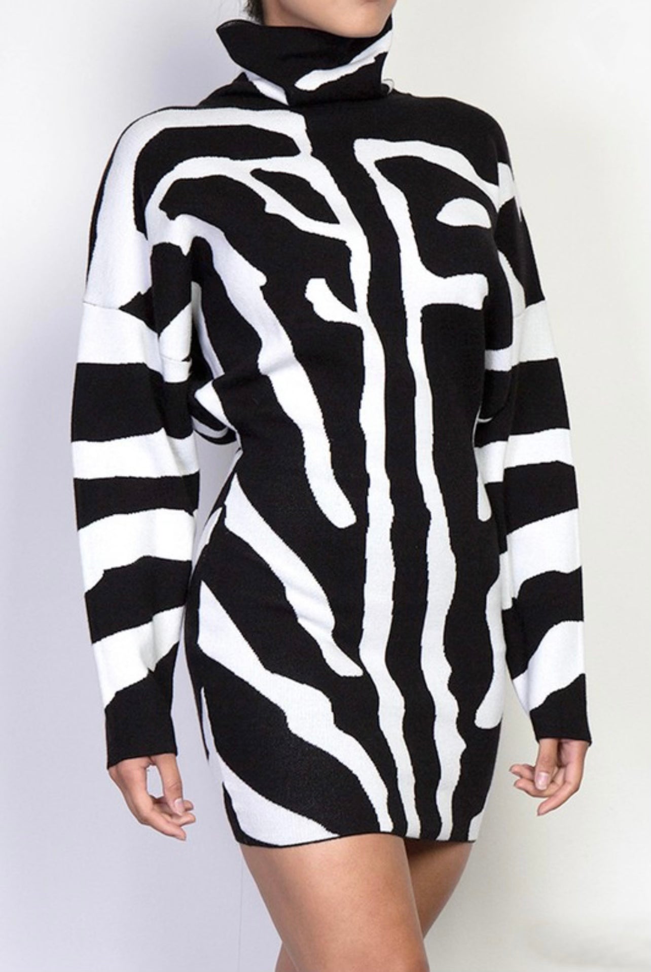 Zebra Dress